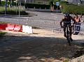 TRIFLERS2008 11529